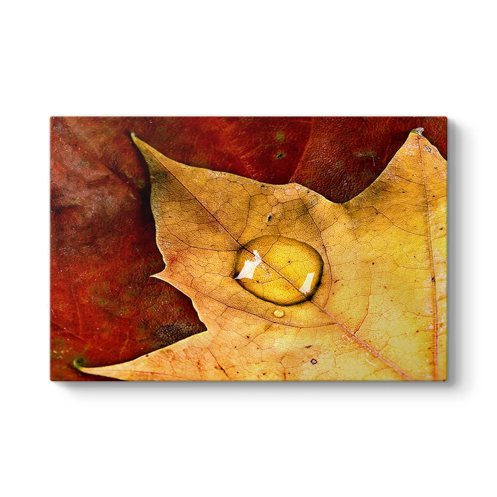 Leaves Drop Tablosu - Model 1